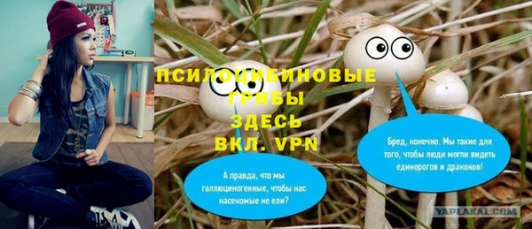 дмт Володарск